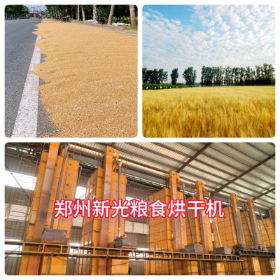 新光糧食烘干機 新光糧食烘干機