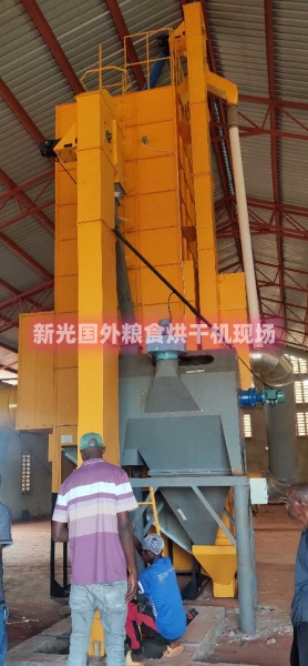 新光糧食烘干機(jī) 新光糧食烘干機(jī)