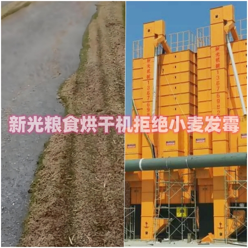 新光糧食烘干機(jī) 新光糧食烘干機(jī)